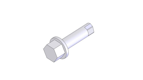 SCREW 3001.jpg